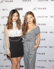 Filename=2018-09-30_28129.jpg
Filesize=123KiB
Dimensions=750x540
Date added=Sep 25, 2025 2018-09-30_28129.jpg
