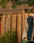 2012_-_Alphas_S02E04_mkv3537.jpg