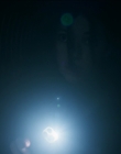 Filename=2025_-_Clown_in_a_Cornfield_mkv3479.jpg
Filesize=426KiB
Dimensions=1920x800
Date added=Oct 11, 2025 2025_-_Clown_in_a_Cornfield_mkv3479.jpg