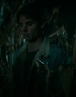 Filename=2025_-_Clown_in_a_Cornfield_mkv3654.jpg
Filesize=596KiB
Dimensions=1920x800
Date added=Oct 11, 2025 2025_-_Clown_in_a_Cornfield_mkv3654.jpg