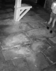 2024_-_Ghosting_S01E06_mkv6250.jpg
